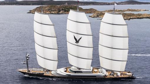Maltese Falcon