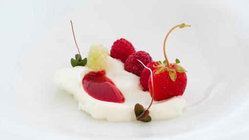 Fresas de nuestro huerto, manzana y Kéfir.