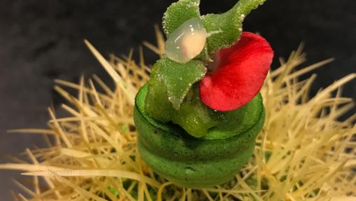Cactus de lima, tequila y hojas verdes de ABaC