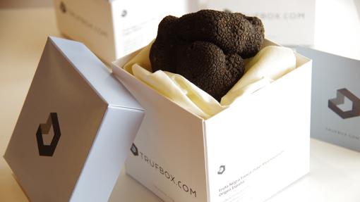 Trufa negra de Trufbox