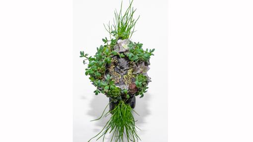 Moser Nature Watch