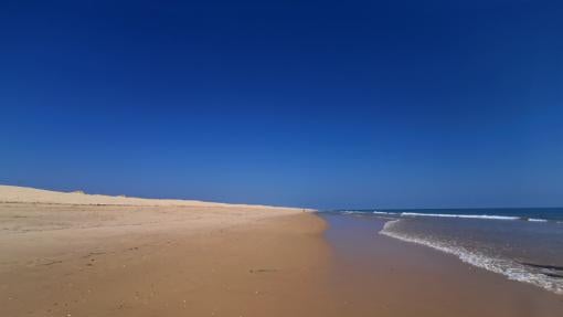 Playa isla de Faro