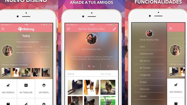 Detalle del funcionamiento de la aplicación