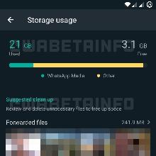 WABetaInfo