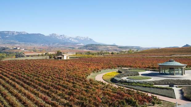 Instalaciones de Dinastía Vivanco, en La Rioja