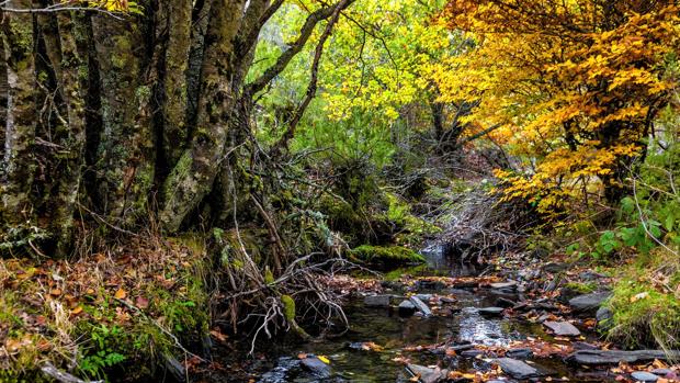 Siete Paisajes Naturales Donde Descubrir La Mejor Castilla La Mancha