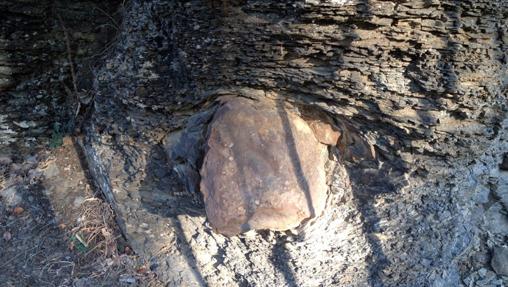 Dropstone de Checa