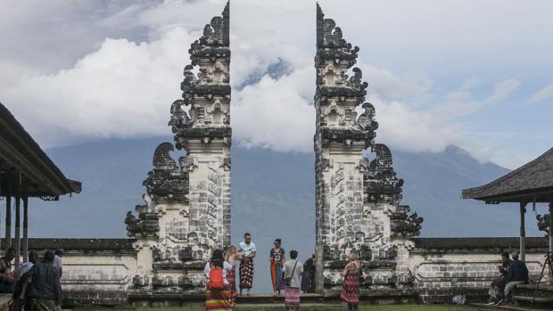 Unduh 40 Gambar Flora Dan Fauna Di Bali Terbaik 