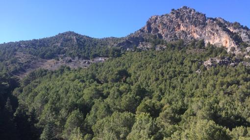Parque Natural (futuro Parque Nacional) Sierra de las Nieves