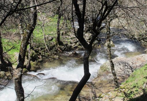 El agua es el protagonista de la ruta de las cascadas del Purgatorio