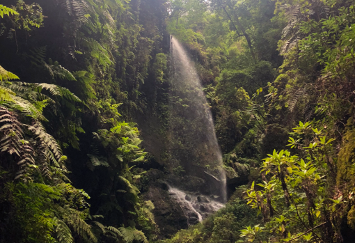 Waterfall in the Forest of Los Tilos